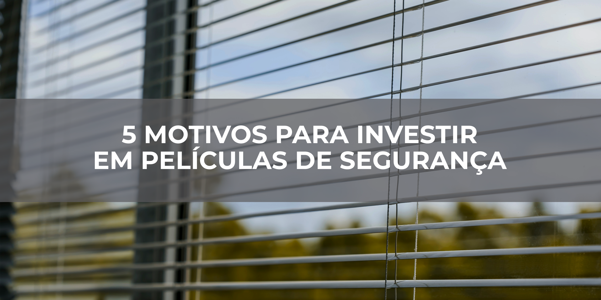 5-motivos-para-investir-em-películas-de-segurança 5-motivos-para-investir-em-películas-de-segurança