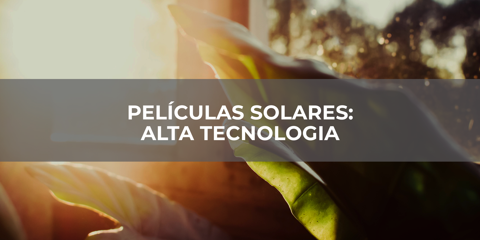 Películas-Solares-Alta-Tecnologia