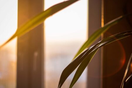 PROTEJA SUA FAMÍLIA DO EXCESSO DE CALOR COM PELÍCULAS RESIDENCIAIS DE CONTROLE SOLAR