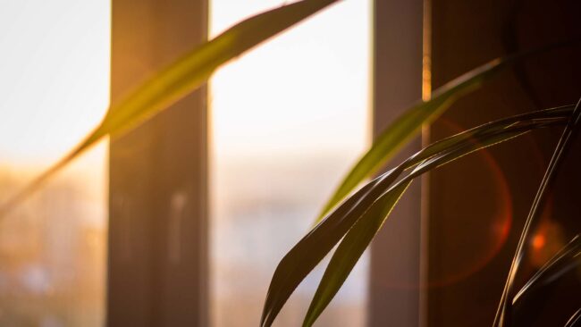 PROTEJA SUA FAMÍLIA DO EXCESSO DE CALOR COM PELÍCULAS RESIDENCIAIS DE CONTROLE SOLAR