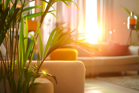 Como Deixar a Casa Mais Fresca Dicas que Não Precisam de Obras, com Insulfilm Residencial