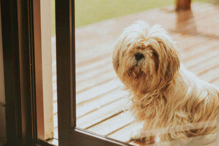 Insulfilm no Clima Carioca- Conforto Térmico e Proteção Essencial no Rio de Janeiro